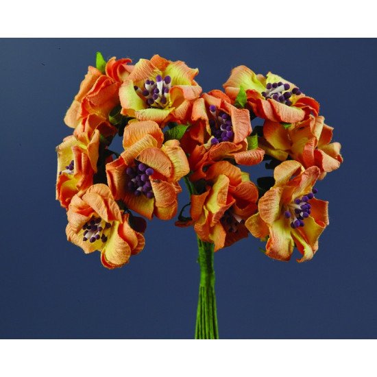 21851712732112-otherimage-550x550