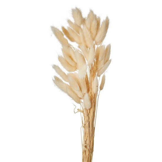 30211712731653-otherimage-550x550