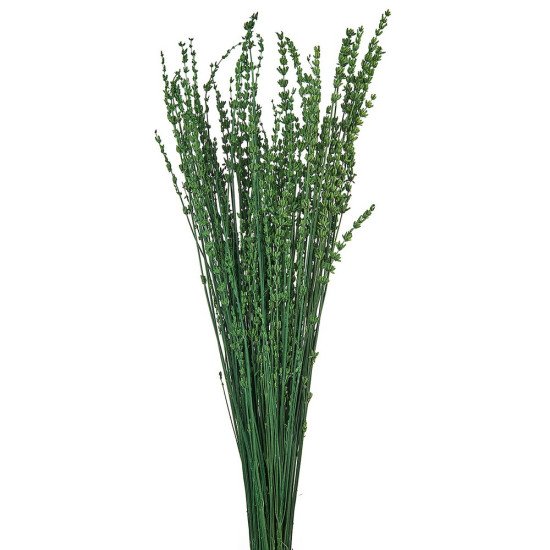 3881712731653-otherimage-550x550