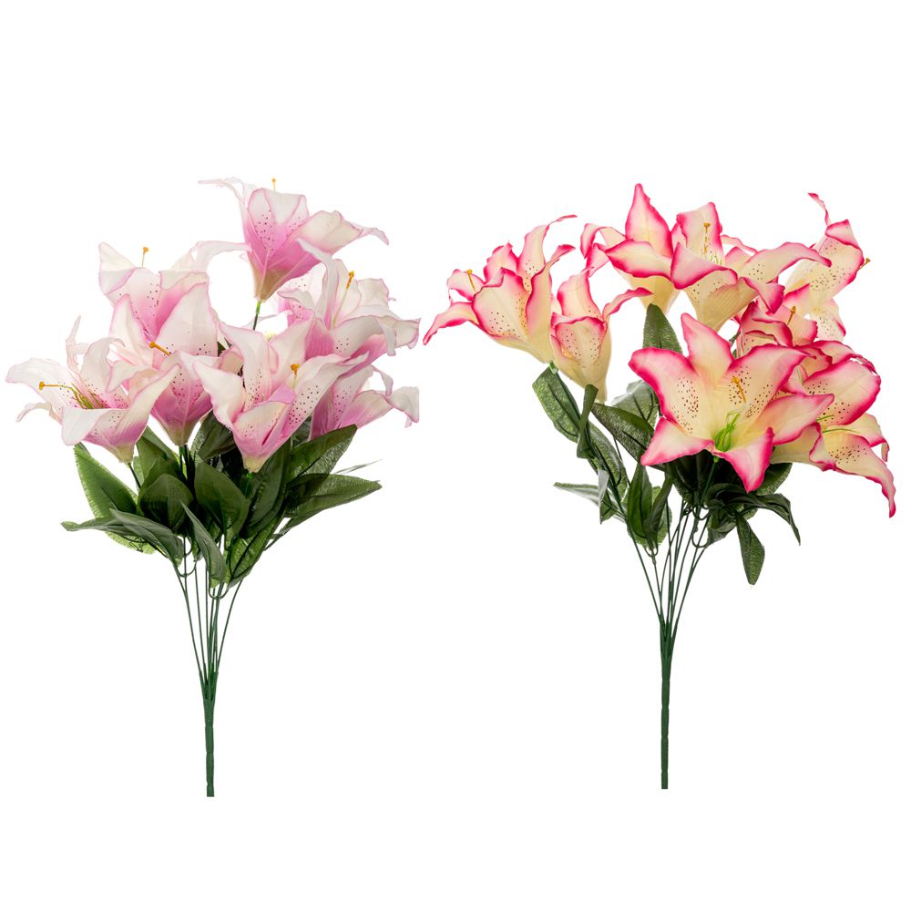 41068 ΡΙΖΑ ΛΙΛΙΟΥΜ