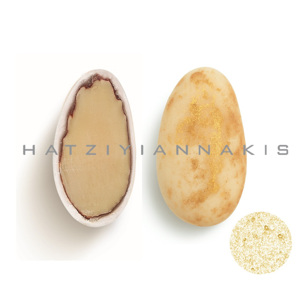 5202516318654-1000x1000