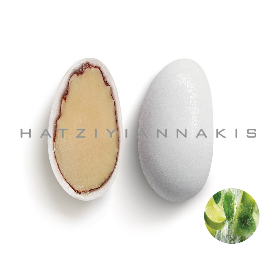 5202516318685-1000x1000