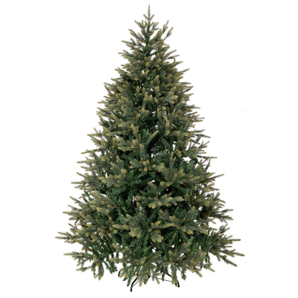 67528 ΔΕΝΤΡΟ FRASER FIR 240ΕΚ