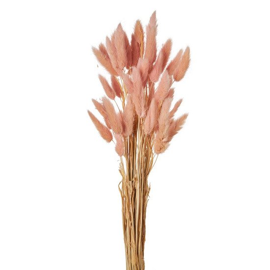 71791712731654-otherimage-550x550