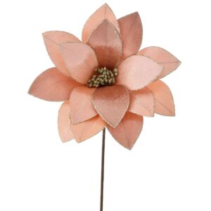 ΣΟΜΟΝ ΔΙΧΡΩΜΟ ΑΛΕΞΑΝΔΡΙΝΟ ΚΛΑΔΙ Φ27Χ55ΕΚ