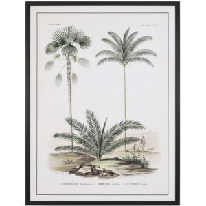 ΠΙΝΑΚΑΣ 60Χ80 ΕΚ ΡΕΤΡΟ ΘΕΜΑ ΜΕ ΦΟΙΝΙΚΕΣ