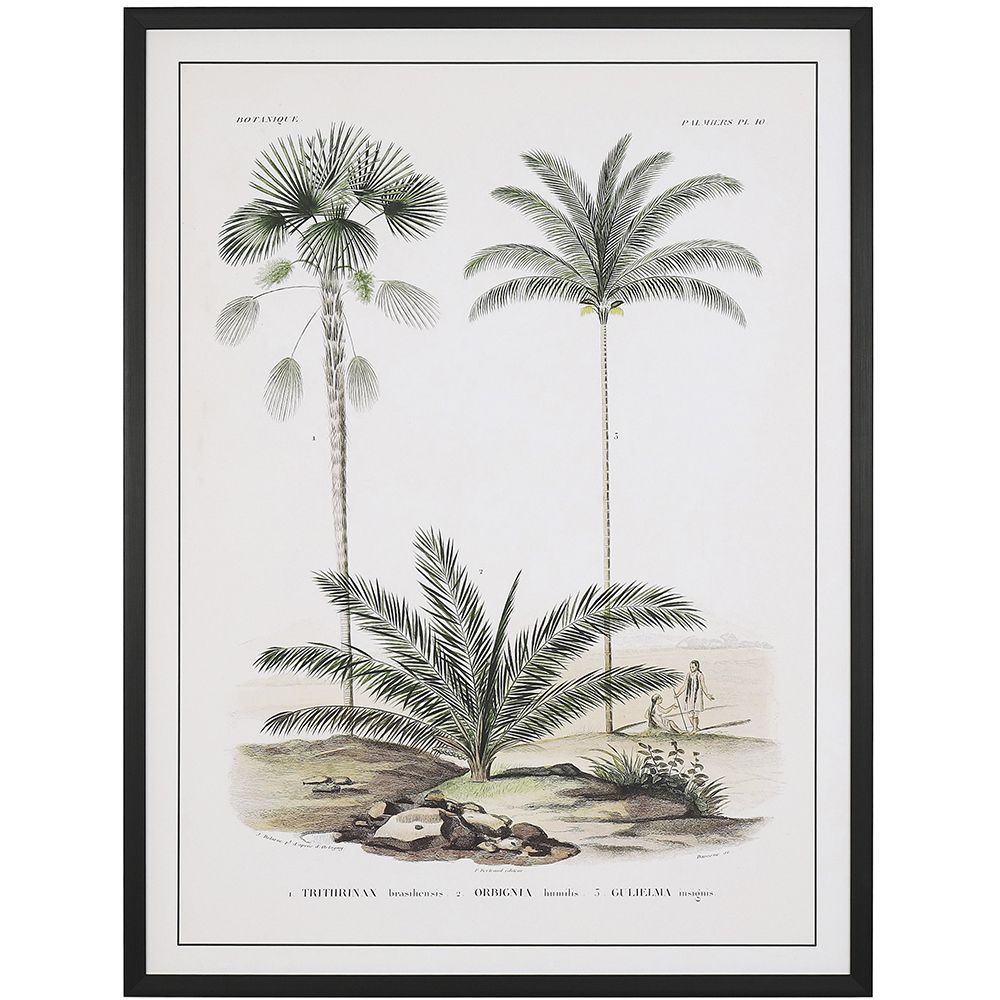 76456 ΠΙΝΑΚΑΣ 60Χ80 ΕΚ ΡΕΤΡΟ ΘΕΜΑ ΜΕ ΦΟΙΝΙΚΕΣ