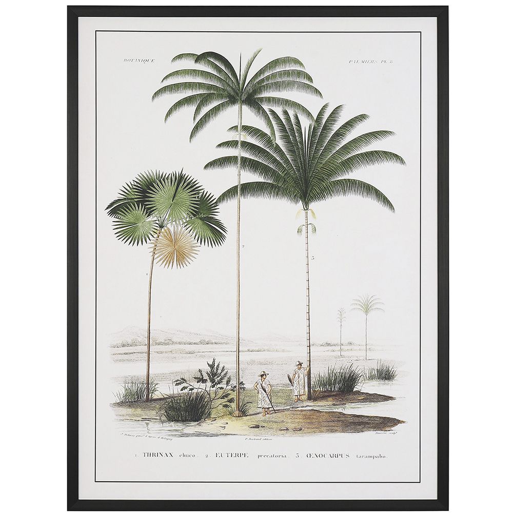 76457 ΠΙΝΑΚΑΣ 60Χ80 ΕΚ ΡΕΤΡΟ ΘΕΜΑ ΜΕ ΦΟΙΝΙΚΕΣ