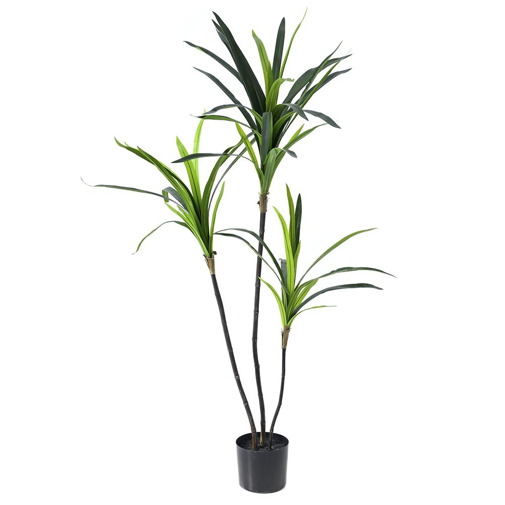 77032 ΤΕΧΝΗΤΟ ΔΕΝΤΡΟ ΔΡΑΚΑΙΝΑ 150 ΕΚ ΣΕ ΜΑΥΡΗ ΠΛΑΣΤΙΚΗ ΓΛΑΣΤΡΑ