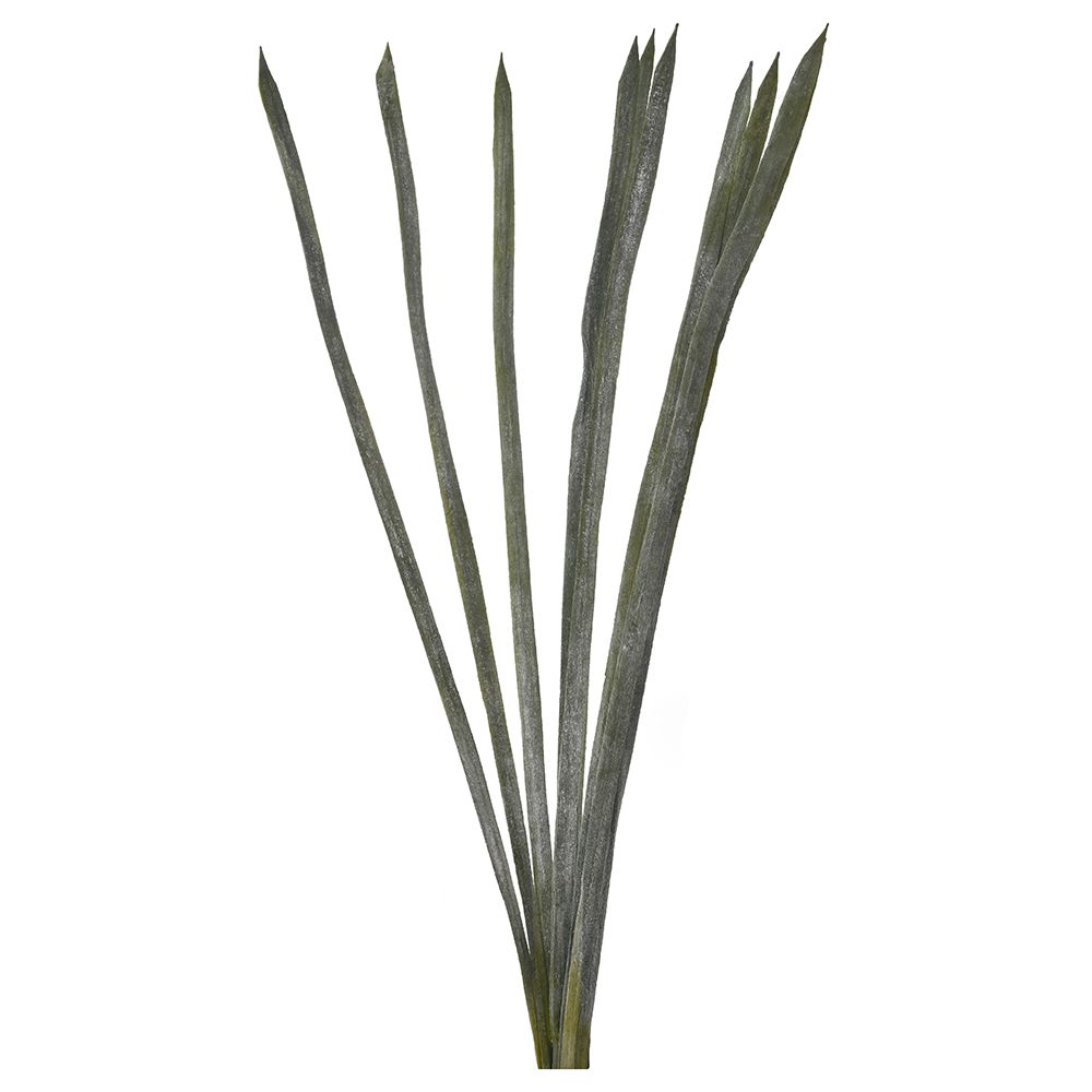 78346 ΜΑΤΣΑΚΙ ΜΑΚΡΙΑ ΠΡΑΣΙΝΑ ΦΥΛΛΑ 10 ΤΕΜ 95EK