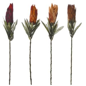 ΒΕΛΟΥΔΙΝΟΣ ΠΡΩΤΕΑΣ 70ΕΚ 4 ΧΡΩΜΑΤΑ