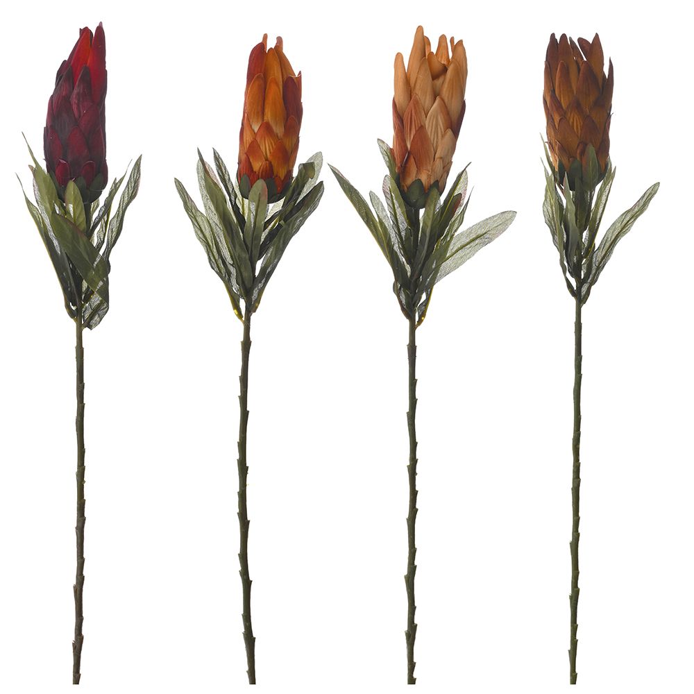 78349 ΒΕΛΟΥΔΙΝΟΣ ΠΡΩΤΕΑΣ 70ΕΚ 4 ΧΡΩΜΑΤΑ