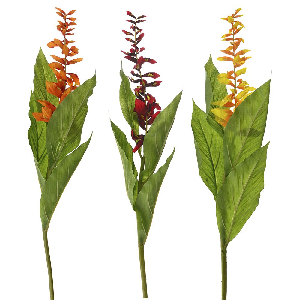 78361 ΚΛΑΔΙ GLOBBA WINITTI 73ΕΚ