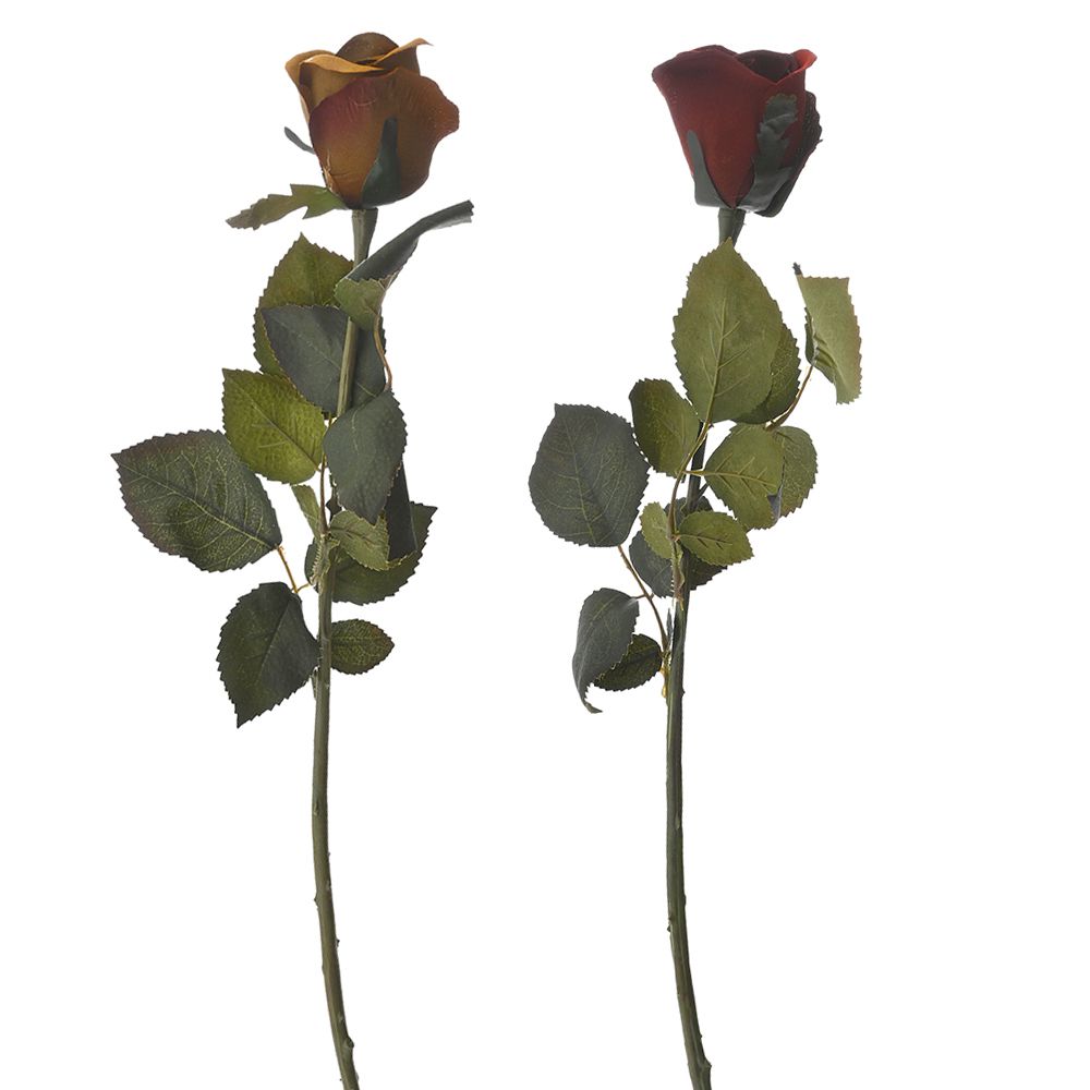 78401 ΚΛΑΔΙ ΤΡΙΑΝΤΑΦΥΛΛΟ ΜΠΑΚΑΡΑΣ 71EK