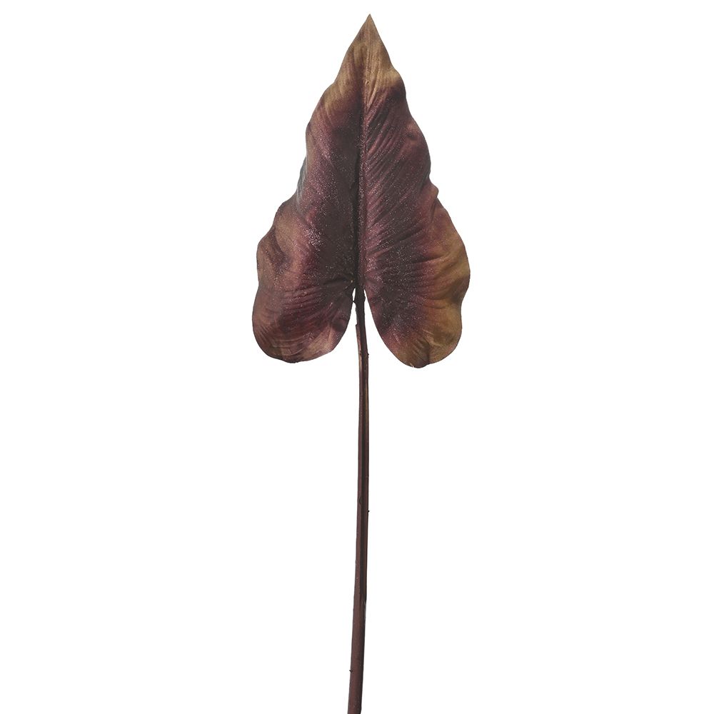 78402 ΚΛΑΔΙ ΚΑΦΕ ΤΡΟΠΙΚΟ ΦΥΛΛΟ 73ΕΚ