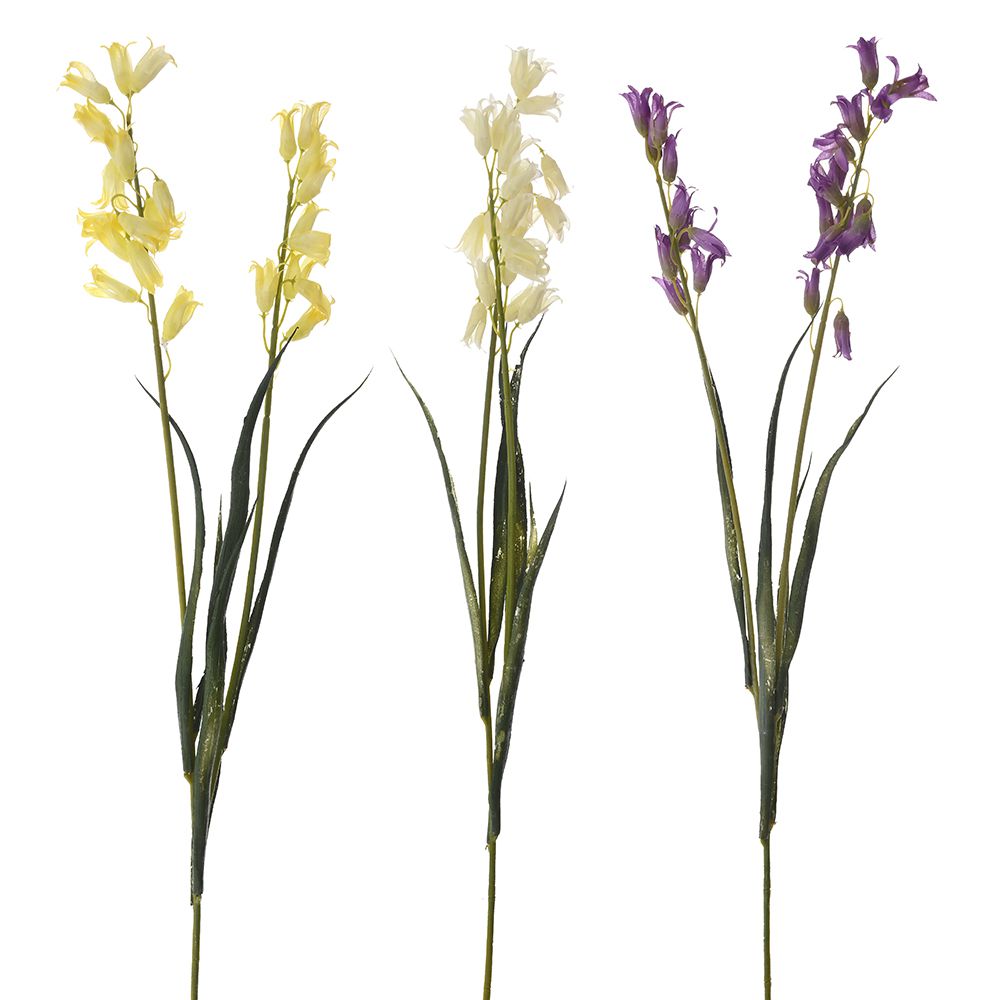 78403 ΚΛΑΔΙ ΥΑΚΙΝΘΟΣ X2 60EK ΣΕ 2 ΧΡΩΜΑΤΑ