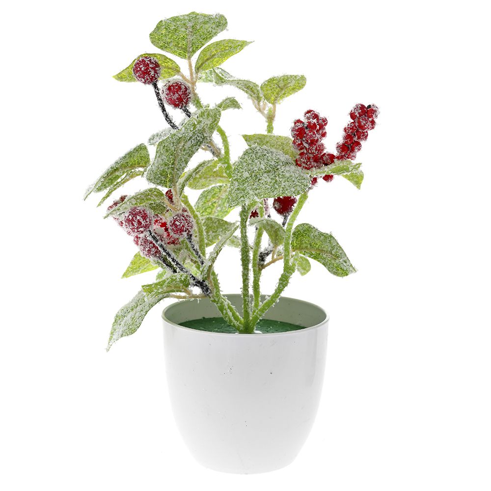 79052 ΓΛΑΣΤΡΑΚΙ ΜΕ ΠΑΓΩΜΕΝΑ ΓΚΙ 23ΕΚ