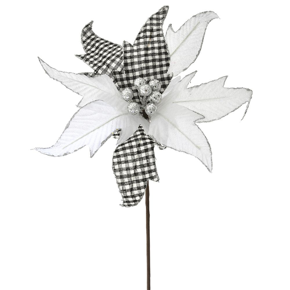 79063 ΛΕΥΚΟ ΑΛΕΞΑΝΔΡΙΝΟ ΚΛΑΔΙ 50ΕΚ ΚΑΡΩ(ΛΕΥΚΟ-ΜΑΥΡΟ)