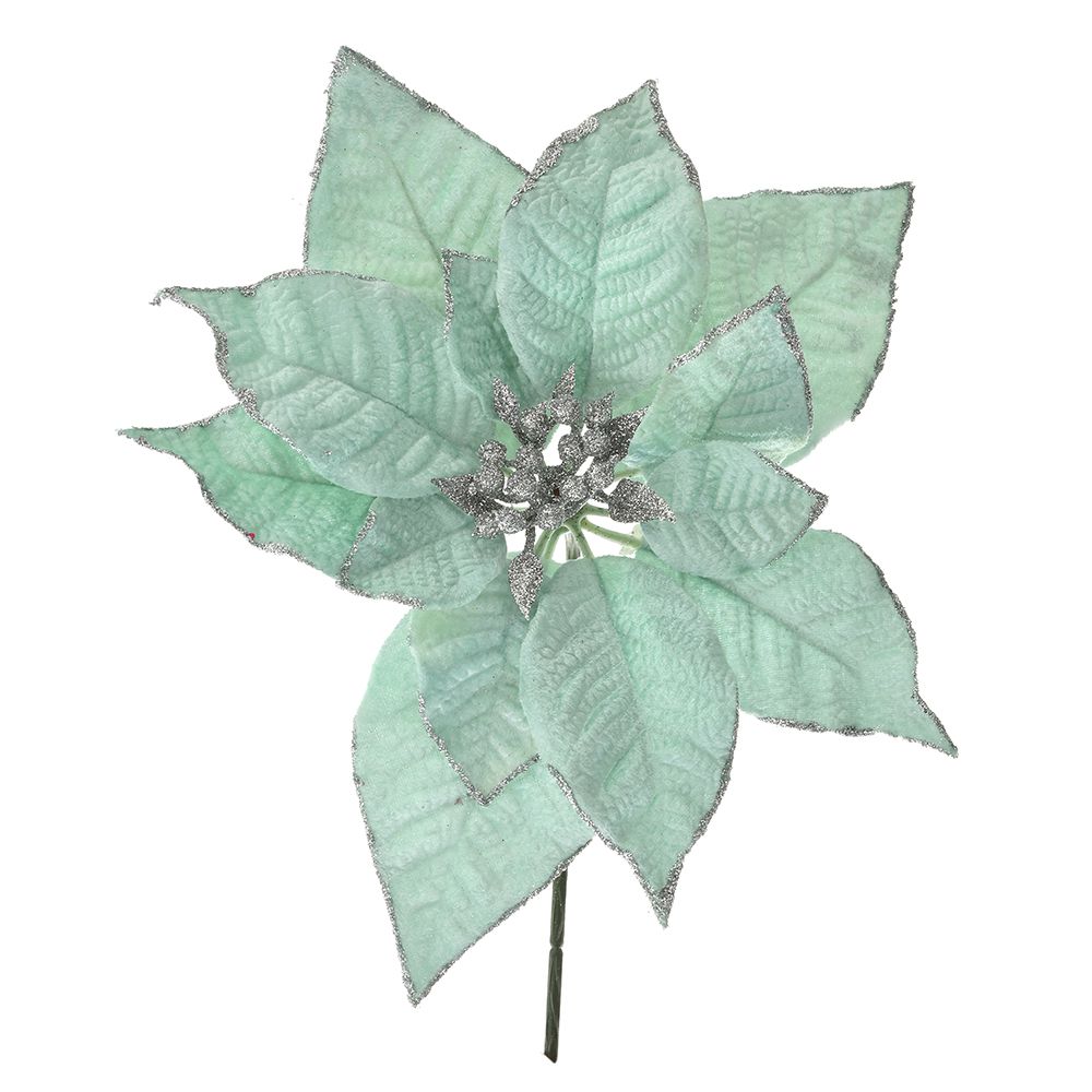 79083 ΜΕΝΤΑ ΑΛΕΞΑΝΔΡΙΝΟ ΠΙΚ 25εκ