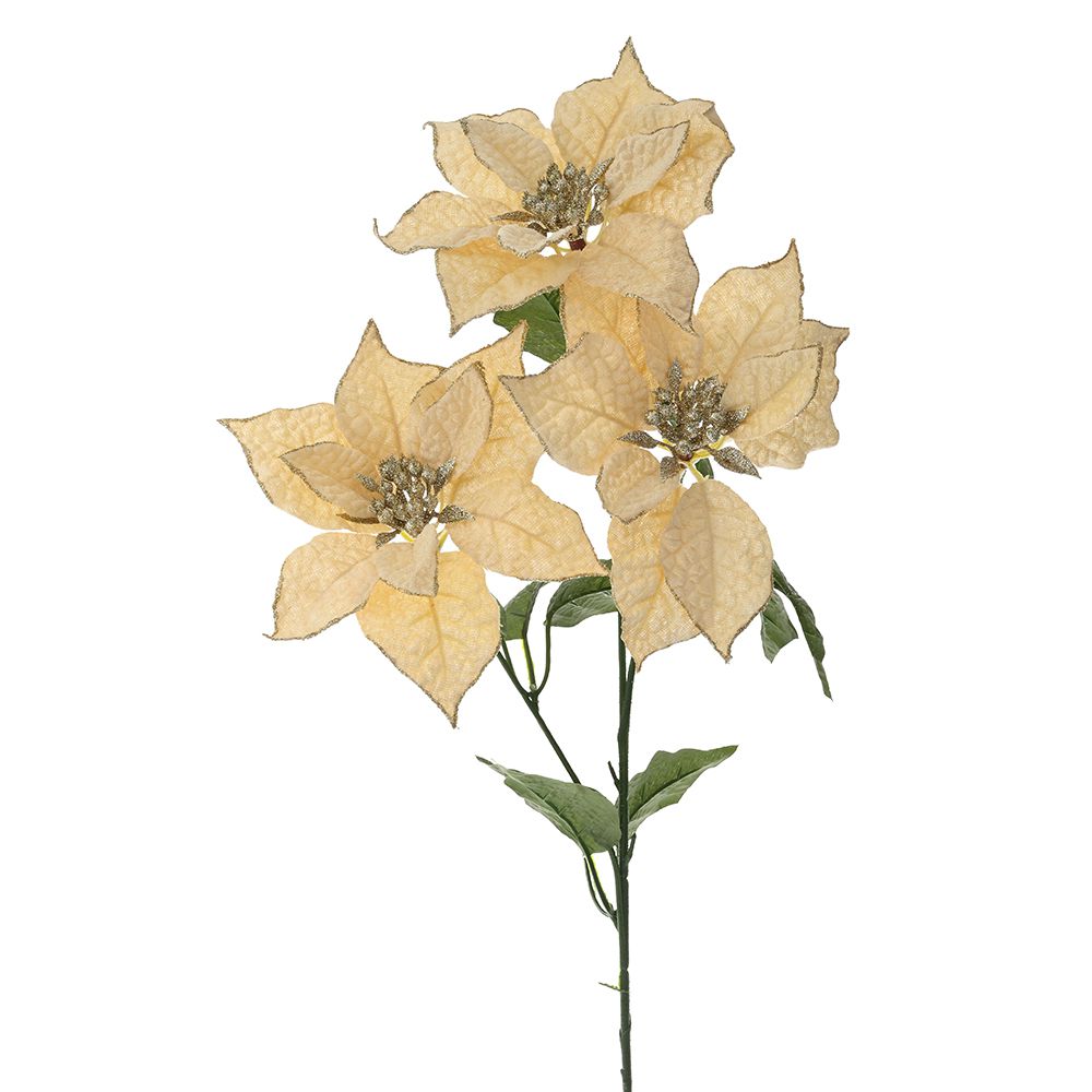 79091 ΚΡΕΜ ΑΛΕΞΑΝΔΡΙΝΟ ΚΛΑΔΙ Χ3 75ΕΚ