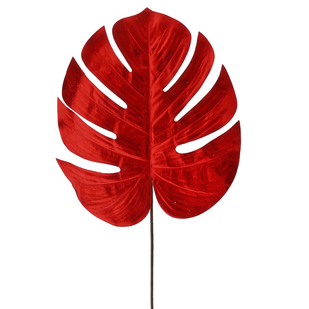 79701 ΚΟΚΚΙΝΟ ΦΥΛΛΟ ΜΟΝΣΤΕΡΑ 65ΕΚ