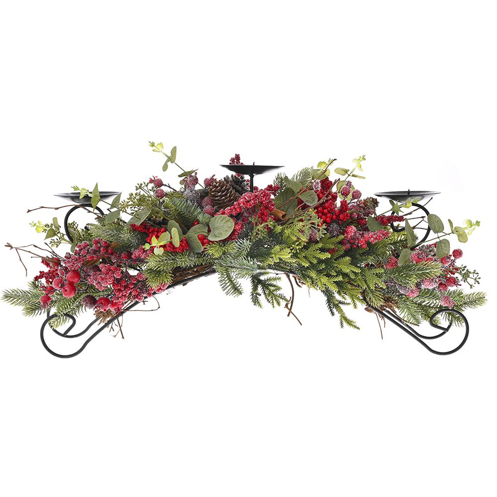 81590 ΑΨΙΔΑ ΚΗΡΟΠΗΓΙΟ ΜΕ KOKKINA BERRIES KAI ΣΤΙΚ ΚΑΝΕΛΑΣ 65Χ25ΕΚ