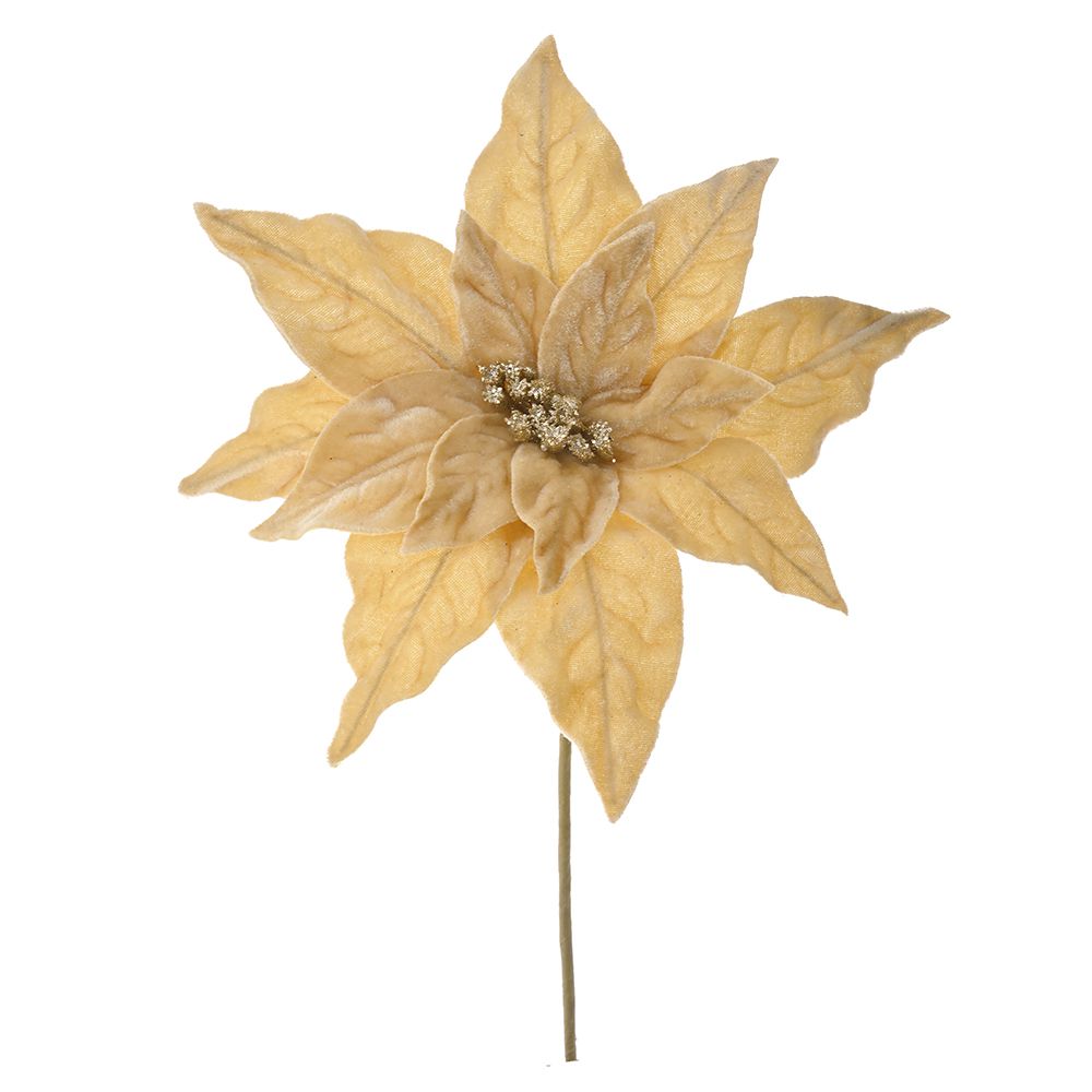 81661 ΧΡΥΣΟ ΑΛΕΞΑΝΔΡΙΝΟ ΠΙΚ 25Χ35ΕΚ