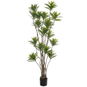 ΦΥΤΟ BAMBOO 180ΕΚ.ΣΕ ΜΑΥΡΗ ΠΛΑΣΤΙΚΗ ΓΛΑΣΤΡΑ (ΔΙΑΜΕΤΡΟΣ 65ΕΚ.) ΠΕΡΙΠΟΥ