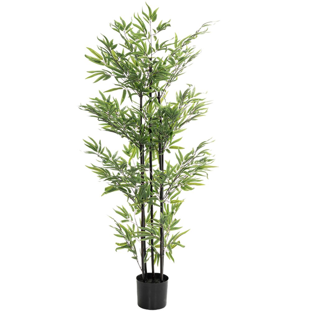 85118 ΦΥΤΟ BAMBOO 150ΕΚ. Χ4 ΣΕ ΜΑΥΡΗ ΠΛΑΣΤΙΚΗ ΓΛΑΣΤΡΑ