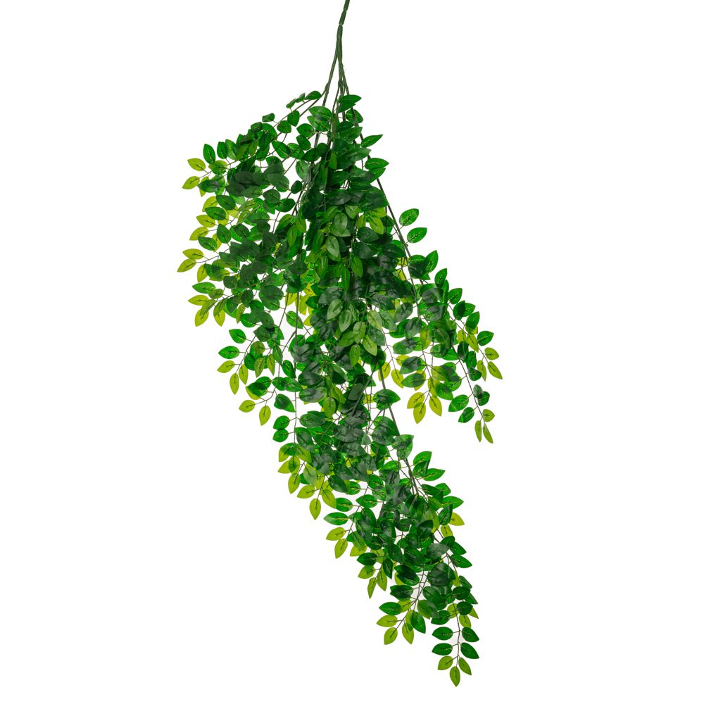 85119 ΡΙΖΑ ΠΡΑΣΙΝΑΔΑ ΑΚΑΚΙΑ 135ΕΚ