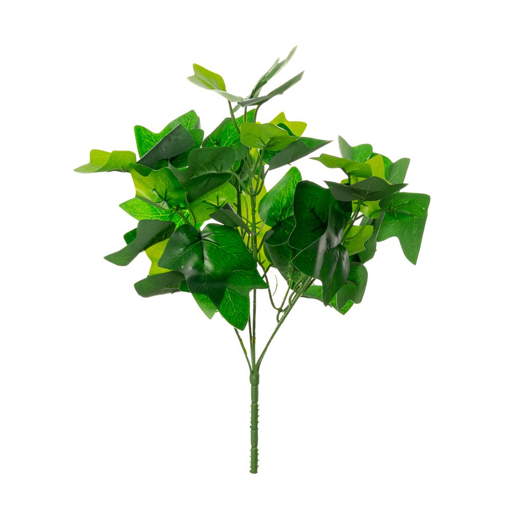 85122 ΡΙΖΑ ΚΙΣΣΟΣ ΜΕ 45 ΦΥΛΛΑ 35ΕΚ