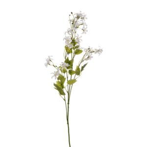 ΑΝΘΙΣΜΕΝΟ ΛΕΥΚΟ ΚΛΑΔΙ 88ΕΚ