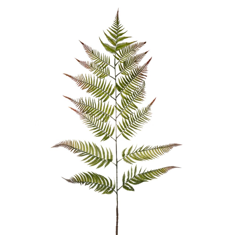 85389 ΓΙΓΑΣ ΠΡΑΣΙΝΗ ΦΤΕΡΗ ΚΛΑΔΙ 163ΕΚ Χ15