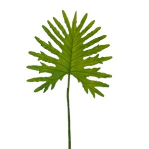 ΠΡΑΣΙΝΟ ΦΥΛΛΟ 70ΕΚ ΦΥΛΛΟΔΕΝΤΡΟ