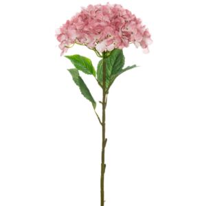 ΜΕΓΑΛΗ ΡΟΖ ΟΡΤΑΝΣΙΑ 110ΕΚ Φ30ΕΚ