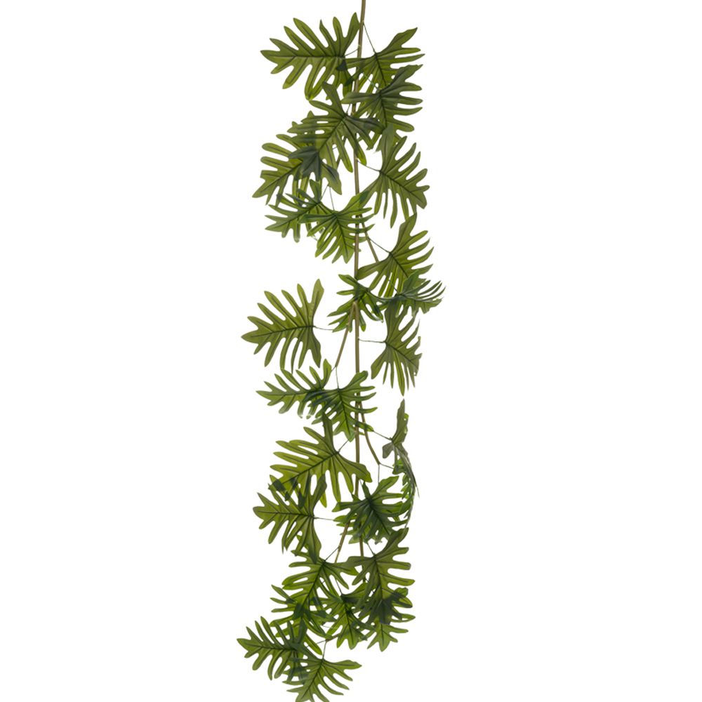 85604 ΓΙΡΛΑΝΤΑ ΦΥΛΛΟΔΕΝΔΡΟ 190ΕΚ ΜΕ ΠΟΛΥ ΜΕΓΑΛΑ ΦΥΛΛΑ 45-50ΕΚ ΠΛΑΤΟΣ