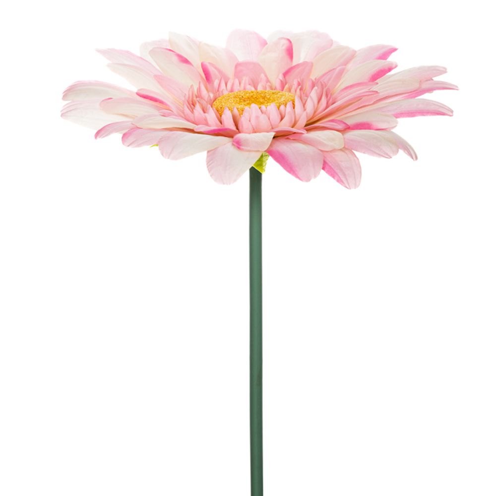 85610 ΓΙΓΑΣ ΡΟΖ ΖΕΡΜΠΕΡΑ 125ΕΚ Φ50ΕΚ ΚΛΑΔΙ