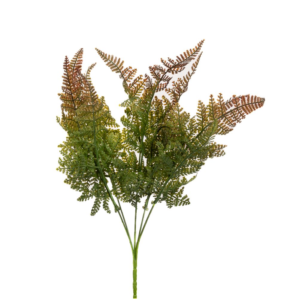 86030 ΡΙΖΑ ΜΕ ΦΤΕΡΕΣ X5 36EK