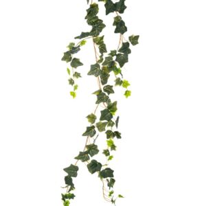 ΓΙΡΛΑΝΤΑ ΚΙΣΣΟΣ COATED 2ΜΕΤΡΑ ΜΕ ΠΑΡΑΚΛΑΔΙΑ