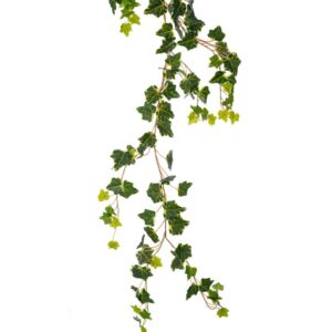 ΓΙΡΛΑΝΤΑ ΠΡΑΣΙΝΟΣ ΠΟΘΟΣ 2ΜΕΤΡΑ ΜΕ ΠΑΡΑΚΛΑΔΙΑ