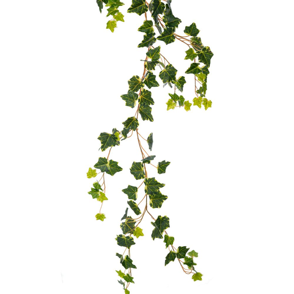 86056 ΓΙΡΛΑΝΤΑ ΠΡΑΣΙΝΟΣ ΠΟΘΟΣ 2ΜΕΤΡΑ ΜΕ ΠΑΡΑΚΛΑΔΙΑ