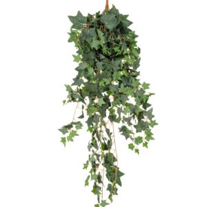 ΚΙΣΣΟΣ COATED ΚΡΕΜΑΣΤΗ ΠΡΑΣΙΝΑΔΑ 120ΕΚ