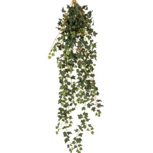 ΚΙΣΣΟΣ COATED ΚΡΕΜΑΣΤΗ ΠΡΑΣΙΝΑΔΑ 110ΕΚ ΜΕ ΜΙΚΡΑ ΦΥΛΛΑ