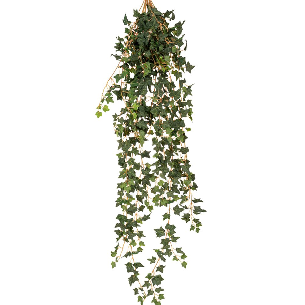 86063 ΚΙΣΣΟΣ COATED ΚΡΕΜΑΣΤΗ ΠΡΑΣΙΝΑΔΑ 110ΕΚ ΜΕ ΜΙΚΡΑ ΦΥΛΛΑ