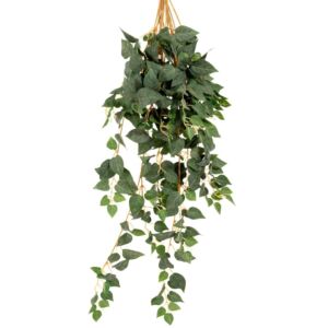 ΠΟΘΟΣ COATED ΚΡΕΜΑΣΤΗ ΠΡΑΣΙΝΑΔΑ 70ΕΚ ΜΕ ΜΙΚΡΑ ΦΥΛΛΑ