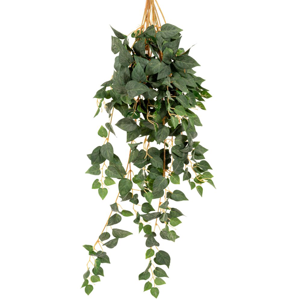 86066 ΠΟΘΟΣ COATED ΚΡΕΜΑΣΤΗ ΠΡΑΣΙΝΑΔΑ 70ΕΚ ΜΕ ΜΙΚΡΑ ΦΥΛΛΑ