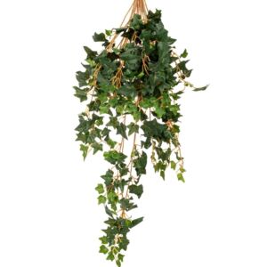 ΚΙΣΣΟΣ ΠΡΑΣΙΝΟΣ ΚΡΕΜΑΣΤΗ ΠΡΑΣΙΝΑΔΑ 70ΕΚ ΜΕ ΜΙΚΡΑ ΦΥΛΛΑ