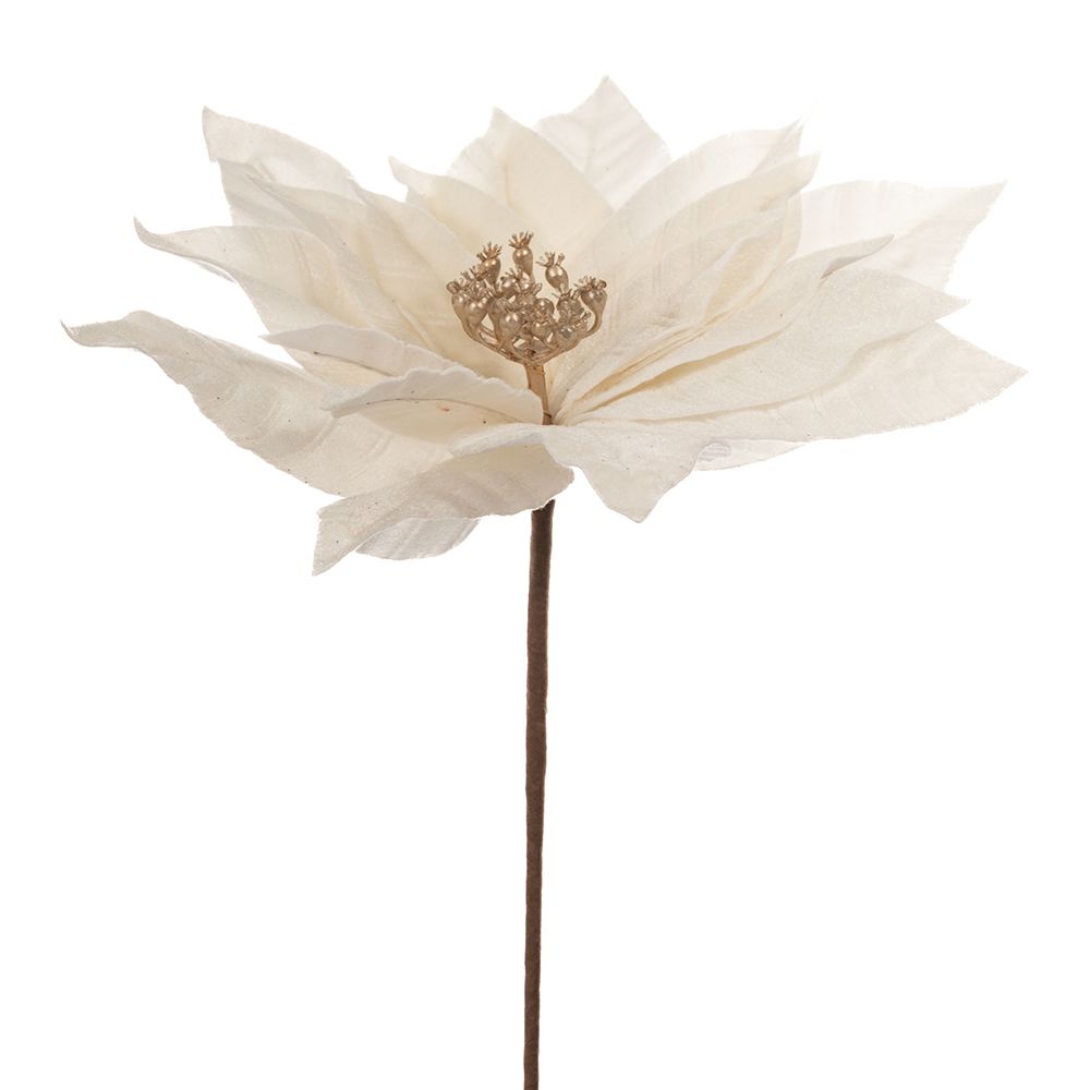 86315 ΚΡΕΜ ΑΛΕΞΑΝΔΡΙΝΟ ΠΙΚ 30Χ50ΕΚ