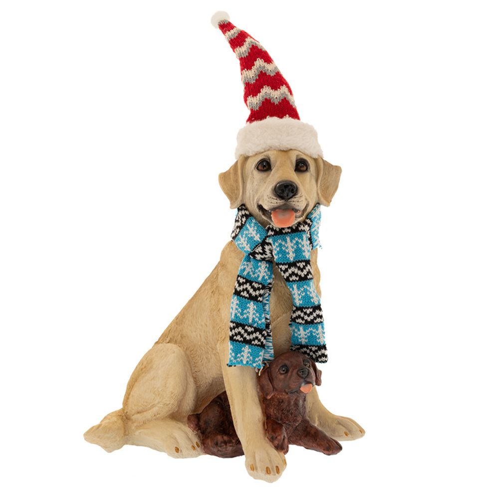 86986 ΜΠΕΖ ΠΟΛΥΡΕΖΙΝ ΣΚΥΛΟΣ ΜΕ ΚΟΚΚΙΝΟ ΣΚΟΥΦΟ ΚΑΙ ΜΠΛΕ ΚΑΣΚΟΛ 25Χ20Χ29ΕΚ