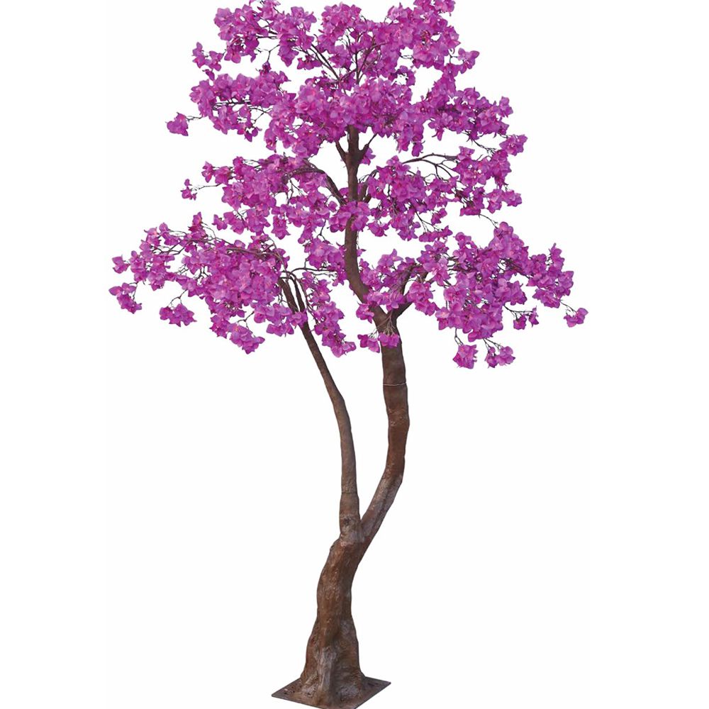 89800 ΔΕΝΤΡΟ ΦΟΥΞΙΑ ΒΟΥΚΑΜΒΙΛΙΑ 280ΕΚ